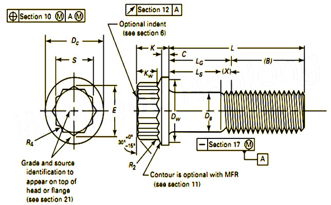 ASME B18.2.5M Metric 12 Point Flange Head Screws